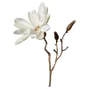Depot Branche Artistique Magnolia^ Décoration De La Couronne De L'Avent
