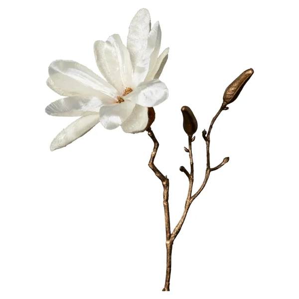 Depot Branche Artistique Magnolia^ Décoration De La Couronne De L'Avent
