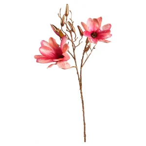 Depot Branche Artistique Magnolia Dore^ Décoration De La Couronne De L'Avent