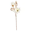Depot Branche Artistique Magnolia Dore^ Décoration De La Couronne De L'Avent