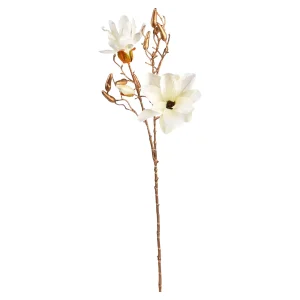 Depot Branche Artistique Magnolia Dore^ Décoration De La Couronne De L'Avent