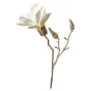 Depot Branche Artistique Magnolia
