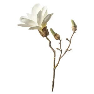 Depot Branche Artistique Magnolia