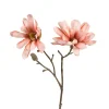 Depot Branche Artistique Magnolia