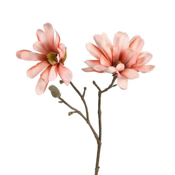 Depot Branche Artistique Magnolia