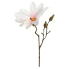 Depot Branche Artistique Magnolia