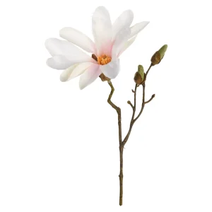 Depot Branche Artistique Magnolia