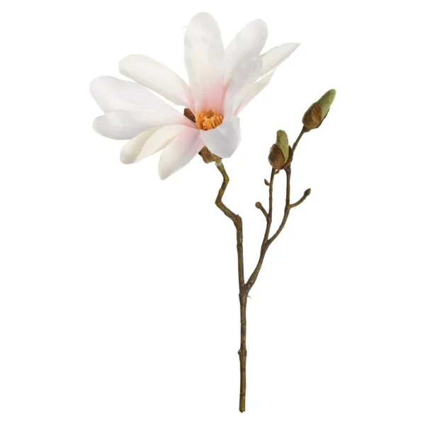 Depot Branche Artistique Magnolia