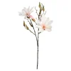 Depot Branche Artistique Magnolia Dore
