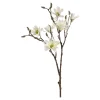 Depot Branche Artistique Magnolia
