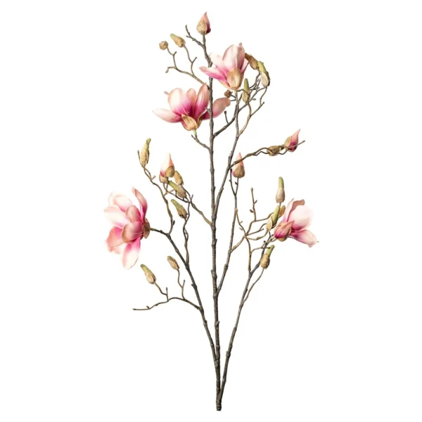 Depot Branche Artistique Magnolia