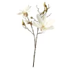 Depot Branche Artistique Magnolia