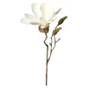 Depot Branche Artistique Magnolia
