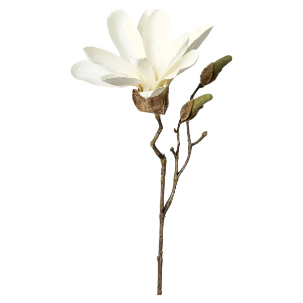 Depot Branche Artistique Magnolia