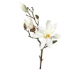 Depot Branche Artistique Magnolia