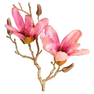 Depot Branche Artistique Magnolia^ Décoration De La Couronne De L'Avent