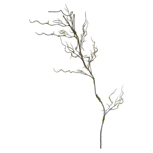 Depot Branche Artistique Mousse