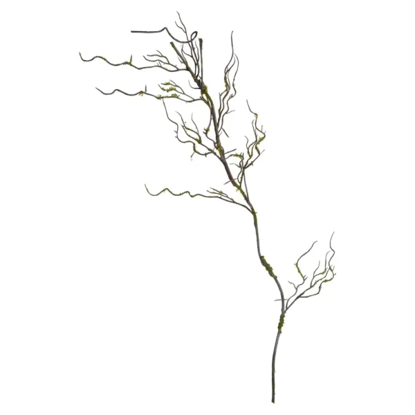 Depot Branche Artistique Mousse