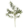 Depot Branche Artistique Olives