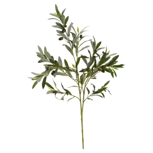 Depot Branche Artistique Olives