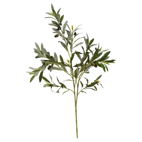 Depot Branche Artistique Olives