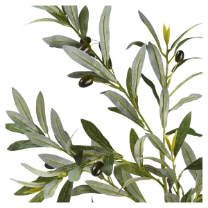Depot Branche Artistique Olives