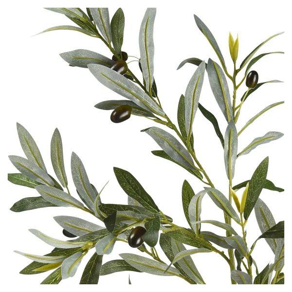 Depot Branche Artistique Olives