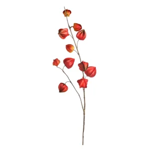 Depot Branche Artistique Physalis^ Décoration De La Couronne De L'Avent