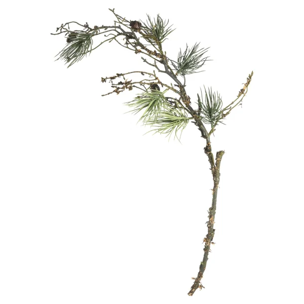 Depot Branche Artistique Pin^ Décoration De La Couronne De L'Avent