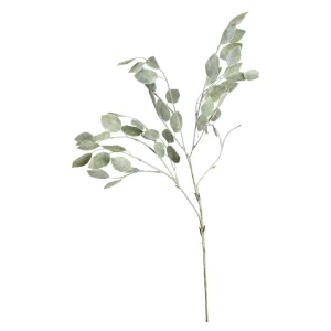 Depot Branche Artistique Robinia