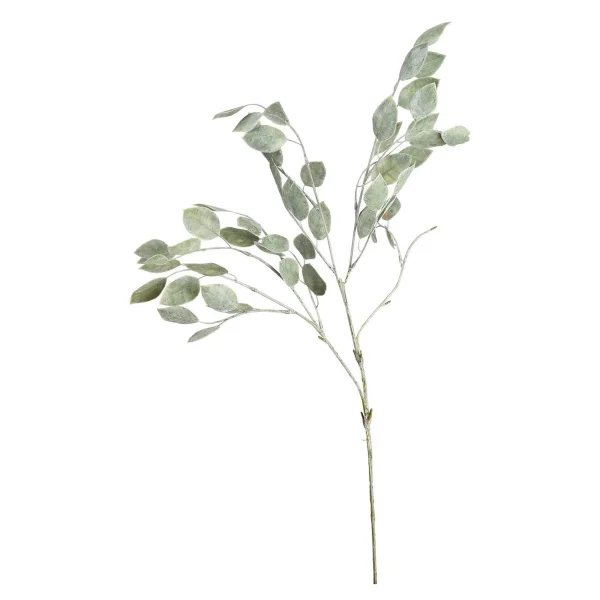 Depot Branche Artistique Robinia