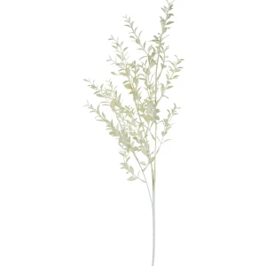 Depot Branche Artistique Ruscus^ Décoration De La Couronne De L'Avent