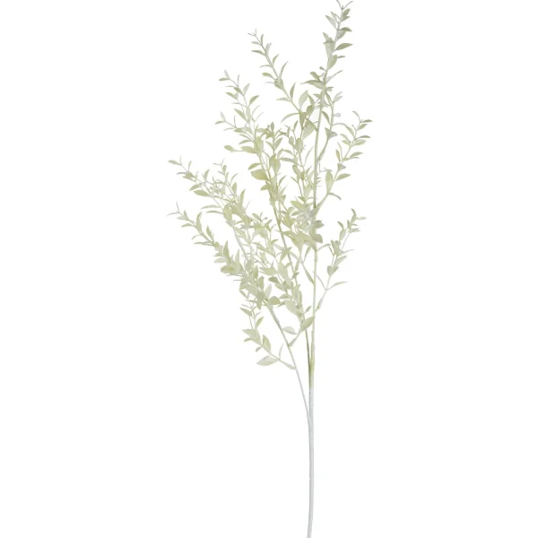 Depot Branche Artistique Ruscus^ Décoration De La Couronne De L'Avent