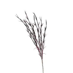 Depot Branche Artistique Softflower^ Fleurs
