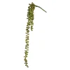 Depot Branche Artistique Succulente, Suspendue