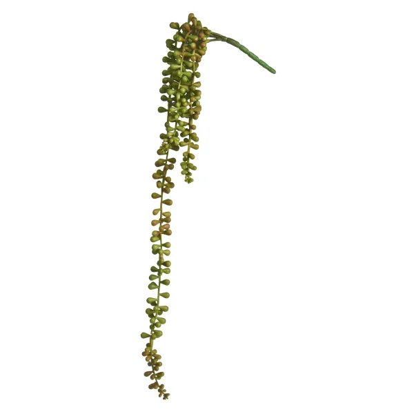 Depot Branche Artistique Succulente, Suspendue