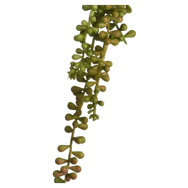 Depot Branche Artistique Succulente, Suspendue