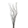 Depot Branche Naturelle Scintillante