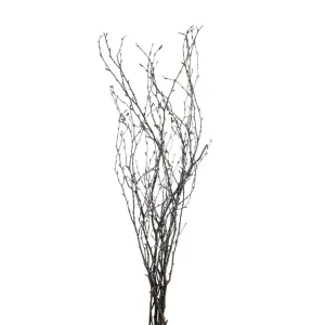 Depot Branche Naturelle Scintillante