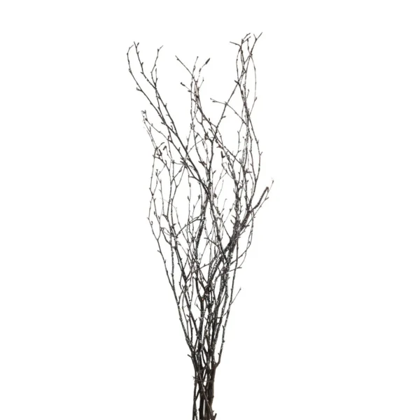 Depot Branche Naturelle Scintillante