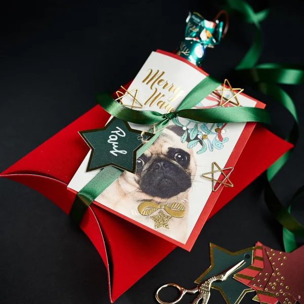 Depot Carte Pliante Chiot^ Cartes De Noël