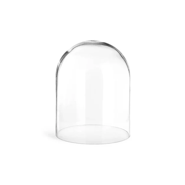 Depot Cloche En Verre