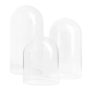 Depot Cloche En Verre