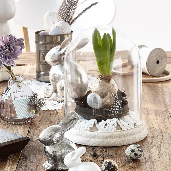 Depot Cloche En Verre
