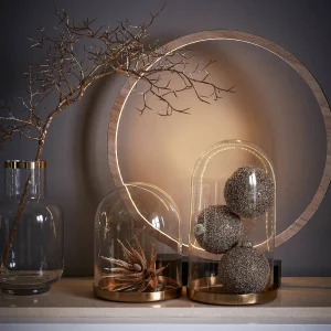 Depot Cloche En Verre