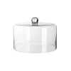 Depot Cloche En Verre Avec Plateau De Service En Ardoise