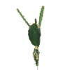 Depot Cueillette De Fleurs Artificielles Cactus
