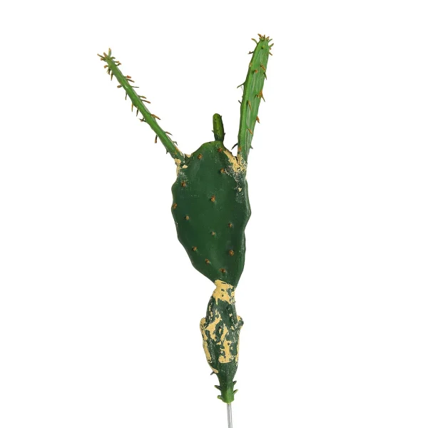 Depot Cueillette De Fleurs Artificielles Cactus