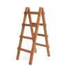 Depot Echelle Pour Plantes Amy, Pliable