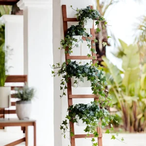 Depot Echelle Pour Plantes Amy, Pliable